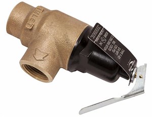 A.O. Smith 100111601 T&P Valve