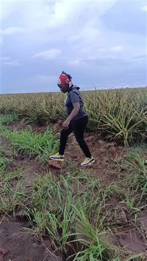 Shirû Ka Matumbî (@shiru_ka_matumbi)’s videos with original sound - Sirme wangui Voice of Reasons