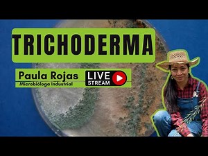 Trichoderma