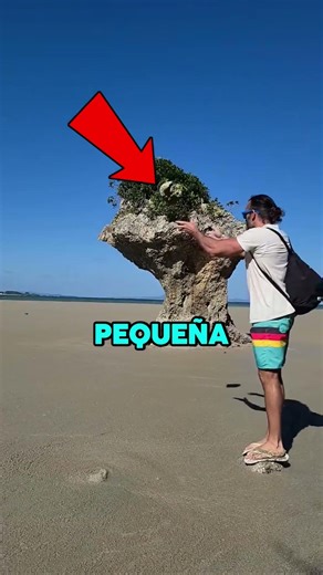 The DANGERS of QUICKSAND BEACHES ⛱️😱 #shorts #beach #sand #wow #funfacts