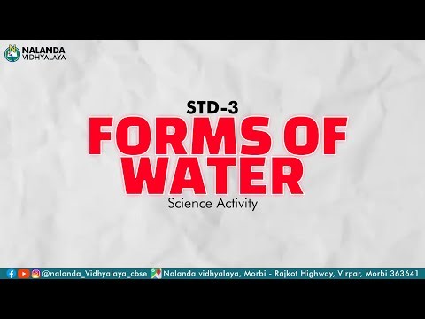 Forms of Water | Science Activity | Std-3 | Nalanda Vidhyalaya Morbi