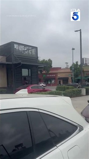 Massive tree stuck on U-Haul damages parked cars in North Hollywood