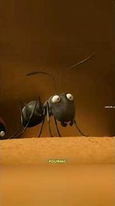 The Epic War of the Black Ants vs. the Red Army | An Incredible Battle 🐜🔥 #shorts #film