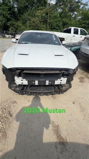 2020 mustan