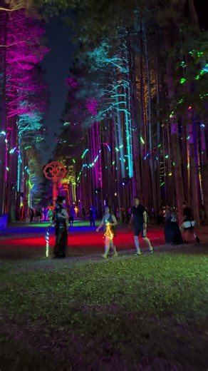 Electric Forest 2025 #electricforest #dj #edm #electricforestfestival #electricforestvibes #festival #electricforestcamping #electricforestvibes #festival #electricforestfamily #djs #djs_lovers #edmtiktok #edmtok #rothbury #michigan #lgbt #lgbt🌈 #lgbt🏳️‍🌈 #lgbtq #2025 #rothburymichigan