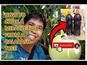 HOW TO COOK A MIRACLE FRUIT from a Calabash Tree - Simple and Easy