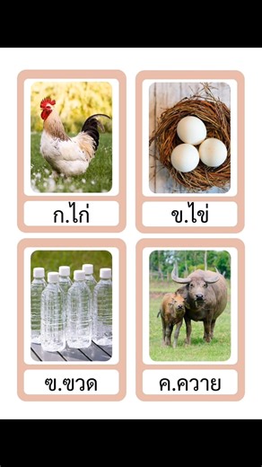 ฝึกเขียนพยัญชนะในภาษาไทย ก-ฮ ติดสมุดได้ ไฟล์ pdf ขนาด A4 และ ครึ่ง A4 สี และ ขาว-ดำ จำนวน 236 หน้า ราคา 59 บาท ประกอบด้วย - คัดลายมือ ก-ฮ - ระบายสี ก-ฮ - บัตรคำ ก-ฮ 📣 เตรียมใบงานให้เด็ก ๆ อนุบาล ถึง ป.2 ไปกับครูนารีกันค่ะ VIP ห้องเรียนครูนารี ราคาพิเศษพิเศษ 299.- ได้ทุกงานของทางเพจ 📣 มีไฟล์มากกว่า 500 ไฟล์ 8,000 กว่าหน้า ไม่มีไลน์น้ำ 📣 ถ้าซื้อแยกราคาตามป้าย 📣 ดาวน์โหลดไฟล์ ผ่านกูเกิ้ลไดรฟ์ ดาวน์โหลดได้ตลอดชีพ 📣 มีงานใหม่ ๆ เพิ่มเติมตลอด ๆ 📣 มีทั้ง ไทย คณิต อังกฤษ และสื่อตกแต่งห้องเรียน บัต