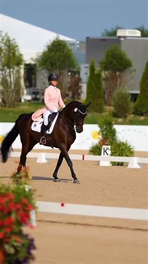 Sync Equestrian | Valentine’s energy in our white Dragon breeches 💗🐎 | Instagram