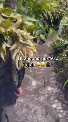 El puntero y sus movimientos .. | Mauricio Cortes