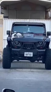 118K views · 3K reactions | Cats get Scared  #Amazing #funny...