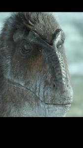 182K views · 5.7K reactions | #dinosaur #whitebeardragon #tiktok #Dinosaurs #Dinosaur #Paleontology #Prehistoric #Jurassic #Cretaceous #Triassic #Dino #DinoWorld | Rany online | Facebook