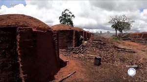 No interior do país, onde há fumaça, há fogo. Em fornos de barro, o calor intenso transforma toras de madeira em carvão. E, no caminho, também derrete a saúde, a dignidade e a esperança de milhares de brasileiros. Os auditores do Ministério do Trabalho percorrem longas distâncias para encontrar carvoarias denunciadas e, por isso, muitas vezes eles precisam da ajuda da tecnologia. Veja mais na matéria do #RRI. | Repórter Record Investigação