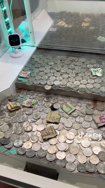 Day 41 Coin Pusher Challenge for Money!