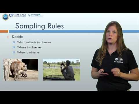 Methods of sampling animal behavior