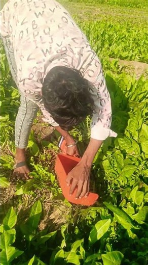 Best Battery Grass Cutter Machine Review 2026 | RK Agro Power 🌿⚡