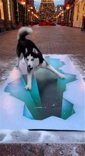 🐕 HUSKY vs. 3D ICE PIT PRANK! 😱 You Won’t Believe What Happens! ❄️✨ #husky #funny