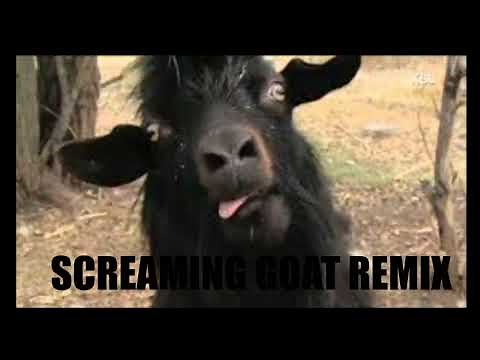 Screaming Goat Ringtone