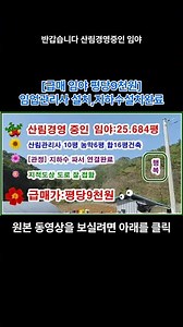 [매도금액 확 내렸어요] 산림경영중인 임야, 임업관리사 10평 농막6평 시공완료, 지하수 관정설치완료,전봇대 심어 전기인입완료 25.684평 당9천원#shorts
