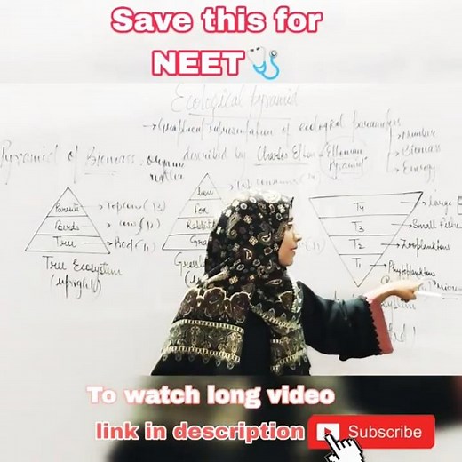 Pyramid of Biomass Aquatic v/s Terrestrial ecosystems 🩺🎯 #NEET #class12 #cuet #upsc #ssc #ecology