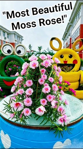 Beautiful Cascading Moss Rose 🌸 Stunning Portulaca Waterfall | DIY Garden Idea #shorts