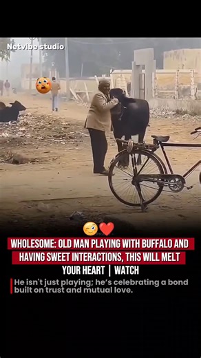 Ageless Joy! ❤️ Watch This Elderly Man Playfully Dance With His Buffalo Friend🐃🕺#animals #wholesome