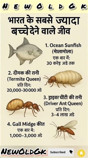 भारत के सबसे ज्यादा बच्चे देने वाले जीव🐂🐆||#shortsfeed #gkinhindi #gk #ytshorts