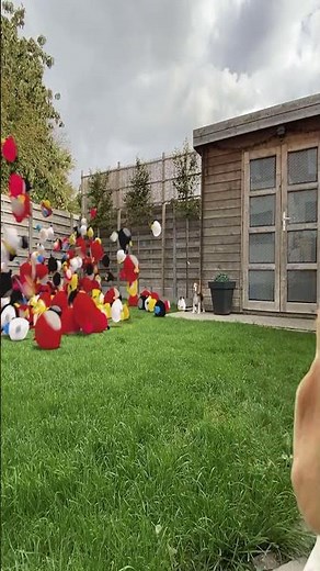 Angry Birds in Real Life in my backyard!