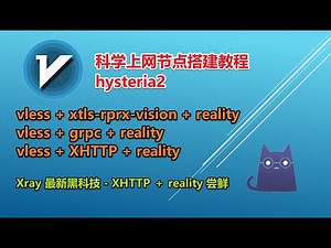节点搭建教程使用docker轻松搭建直连最快的歇斯底里2(hysteria2)协议节点与xray的reality协议节点 xray最新黑科技xhttp传输协议 无需域名一键通过x-ui面板部署科学上网