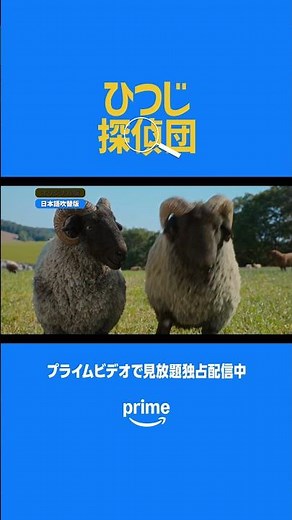 🐑🎙️メェ～シーンを聴き比べ🎙️！日本語吹替版🆚オリジナル版あなたはどっち派？👀ぜひ両方見比べてみてください🐏✨📺 プライムビデオで独占配信中🐏💨🎬 #ひつじ探偵団