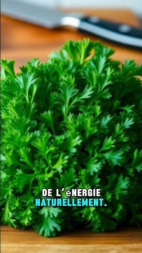 Le Persil : petit légume, grands pouvoirs santé. #bienetre #conseilssante #jardin