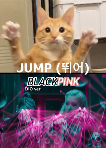 Dio｜The Dark Idol Cat on TikTok