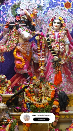 🌸 Daily Darshan | ISKCON Vrindavan 🌸 Witness the sacred beauty of Sri Sri Krishna Balaram, Radha Shyamsundar and Gaura Nitai — live from Vrindavan, the land of divine love. 💫 Every glimpse reminds us of eternal devotion, peace and surrender at the lotus feet of the Lord. Chant and be happy — Hare Krishna Hare Krishna Krishna Krishna Hare Hare, Hare Rama Hare Rama Rama Rama Hare Hare! 🙏 #ISKCONVrindavan #DailyDarshan #KrishnaBalaramMandir #BhaktiVibes #VrindavanVibes #RadhaShyamsundar #HareKr