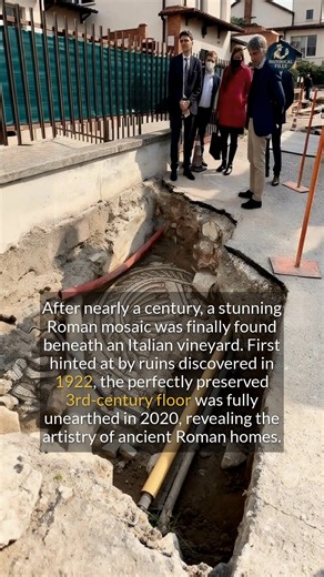 41K views · 410 reactions | A perfectly preserved 3rd-century Roman mosaic was found under an Italian vineyard after 100 years. #archaeology #ancienthistory #history | Historical Files | Facebook