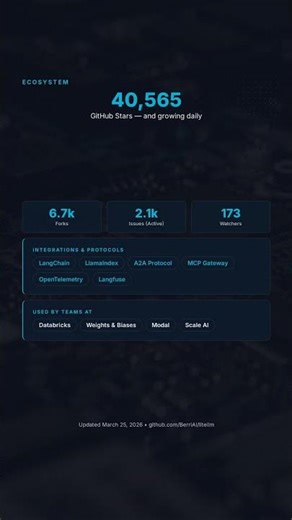 LiteLLM: One API for 100+ LLMs #shorts