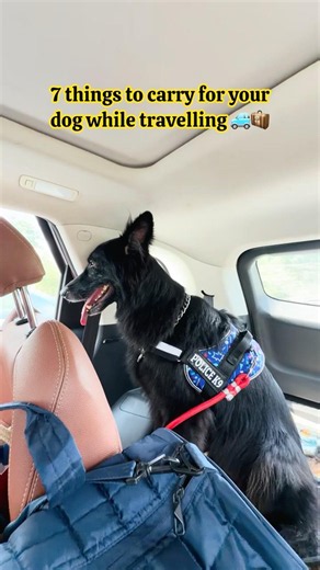 Dog essentials for road trip🚙🐶 #dogshorts #doglife #dogmom #dogtravel #roadtrip #dogadventures