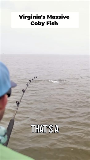 DONKEY FISH ON 😱 This Redfish Was an Absolute TANK