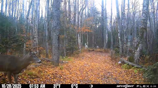 RJ Guide Service on Reels