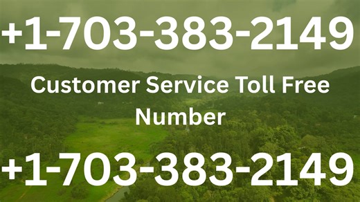 Official LEDGER WALLET ® Customer Service: How to Contact LEDGER WALLET ® | 24/7 Live Help & Support