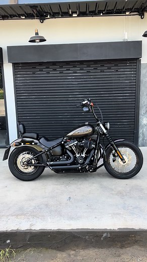 Harley Davidson Street Bob 600cc - 2023 Model Overview