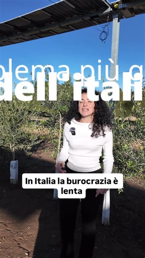 In Italia la burocrazia è lenta. 📑 #agrovoltaico #fotovoltaico #energiasolare