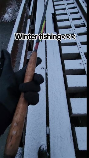 best time of the year 🎣 #fishing #fyp #foryou #fishtok #foryourpage #browntrout #fishingtiktoks #troutfishing #Christmas