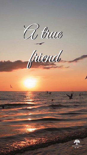 Lessons Taught By Life on Reels