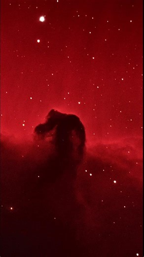 Horsehead Nebula live stacked through sharpcap pro. Captured with Meade LX200GPS 10” w/ ASI585MC Pro