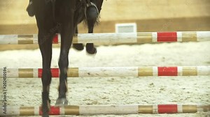 Female equestrian rider running on stallion at show jumping competition Stock Video