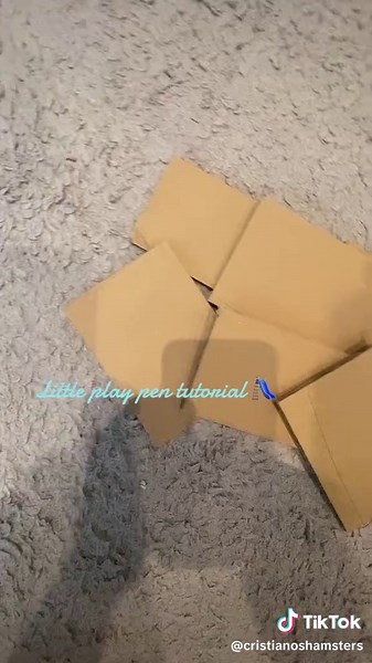 Play pen tutorial for hamsters SUPER EASY to make 😍 #hamster #hamsters #playpen #hamstersoftiktok #turorial #tutorial #tut #diy #diyplaypen #hamsterplaypen #hamsterdiy