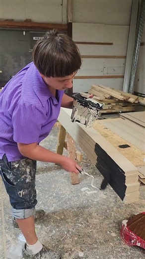 2025 Amish built sheds & MORE - Zion Structures