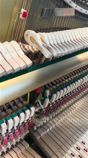 Mise au diapason 442Hz #piano #pianorepair #pianotechnician #pianotuner #pianist