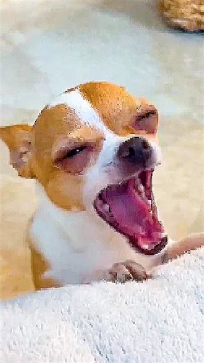 Free Lobotomy on Instagram: "ffffffffffffffffffffffffff"