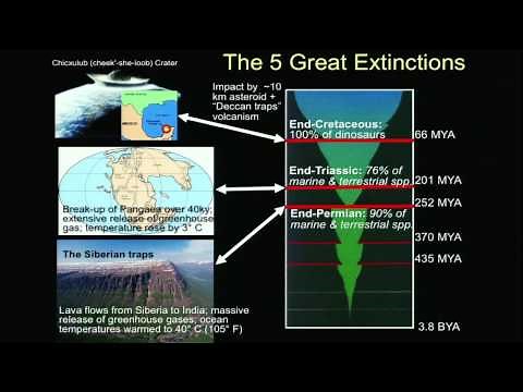 Biology 1001 - Conservation Biology 1
