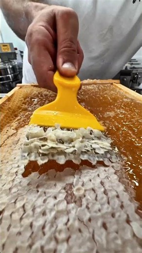 The White Layer on Honeycombs